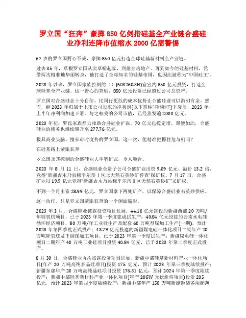 罗立国“狂奔”豪掷850亿剑指硅基全产业链合盛硅业净利连降市值缩水2000亿需警惕