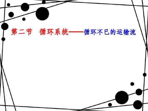 人体八大系统之循环系统