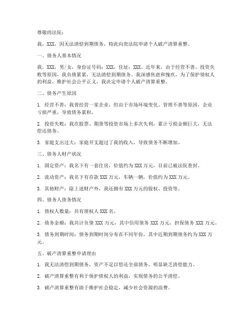 个人破产清算重整申请书