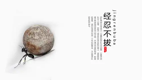 ppt模板：【蚂蚁精神】不畏艰险磨练坚强意志通用模板