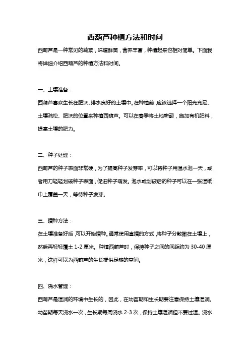 西葫芦种植方法和时间