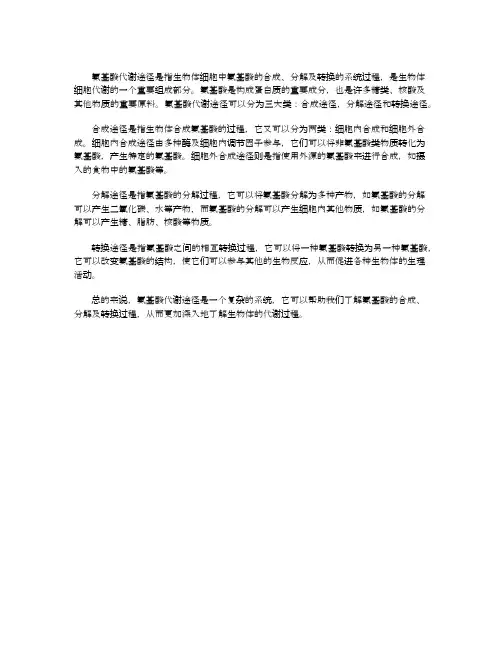 氨基酸代谢途径