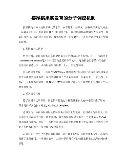 猕猴桃果实发育的分子调控机制