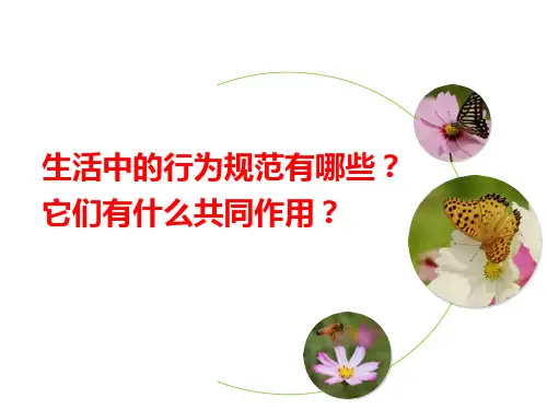 部编人教版初中九年级上册道德与法治《第四课建设法治国家：夯实法治基石》名师ppt课件_1