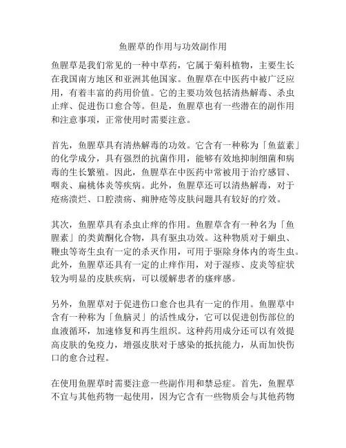 鱼腥草的作用与功效副作用
