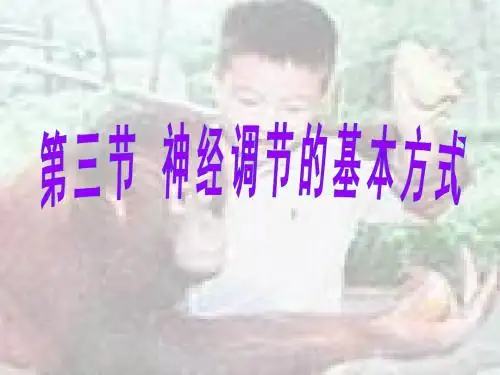 神经调节的基本方式