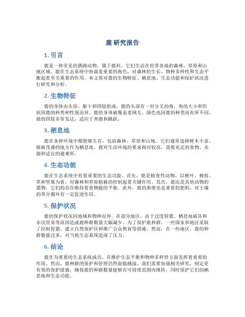 鹿 研究报告