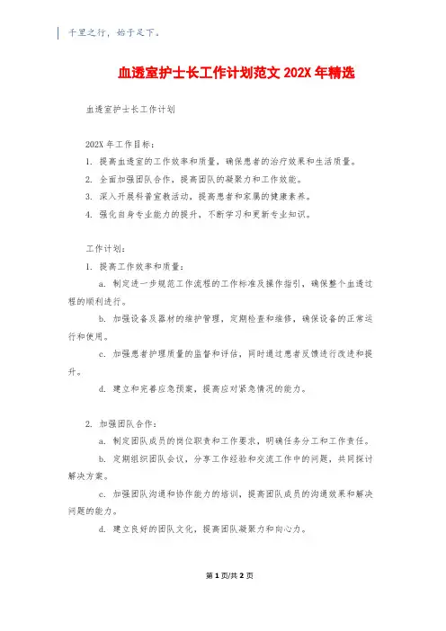 血透室护士长工作计划范文202X年精选