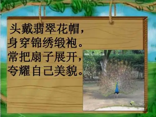 动物名片设计