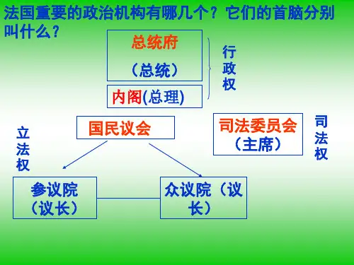 法国近代民主发展历程(人民版)