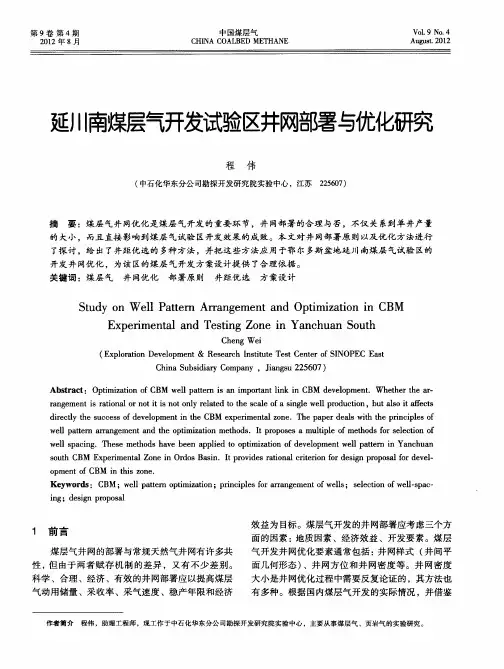 延川南煤层气开发试验区井网部署与优化研究