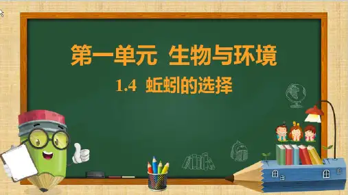 最新教科版小学五年级科学下册《蚯蚓的选择》习题课件