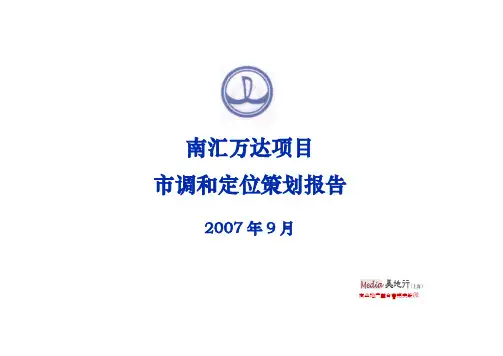 (营销策划)上海南汇万达广场项目市调和定位策划报告