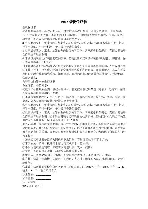 2016禁烧保证书