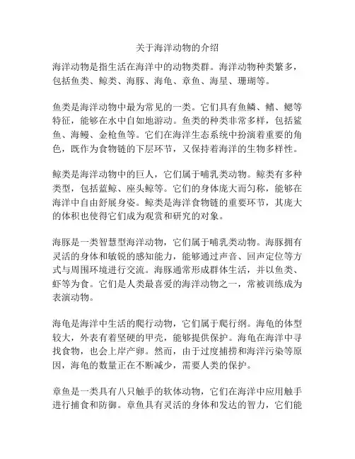 关于海洋动物的介绍