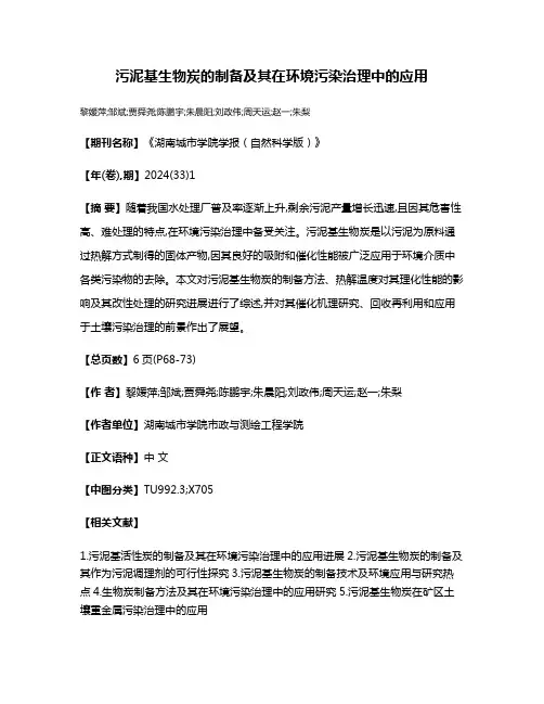 污泥基生物炭的制备及其在环境污染治理中的应用