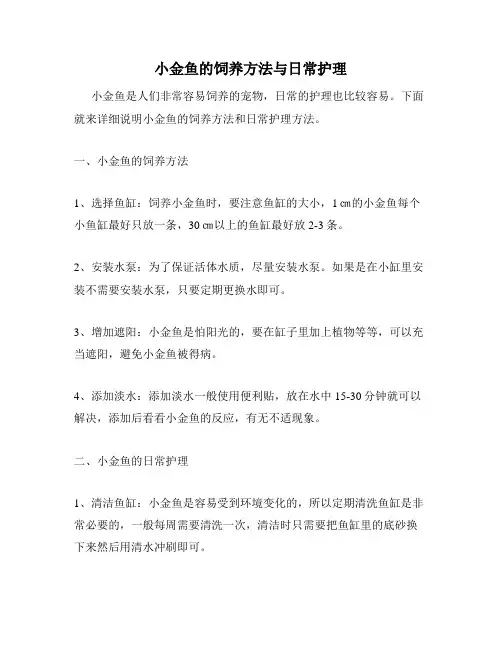 小金鱼的饲养方法与日常护理