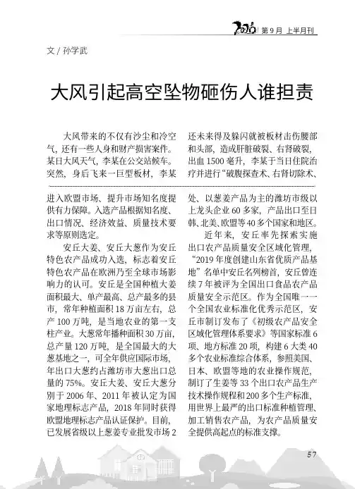 大风引起高空坠物砸伤人谁担责