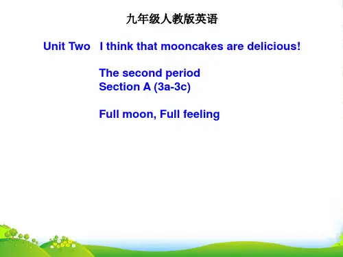 人教九年级全册第二单元Section A (3a-3c)(共16张PPT)