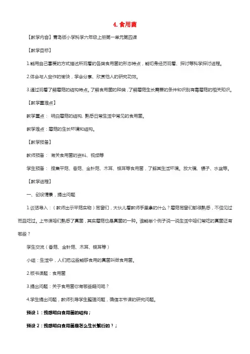 六年级科学上册 第1单元 4 食用菌教案2 