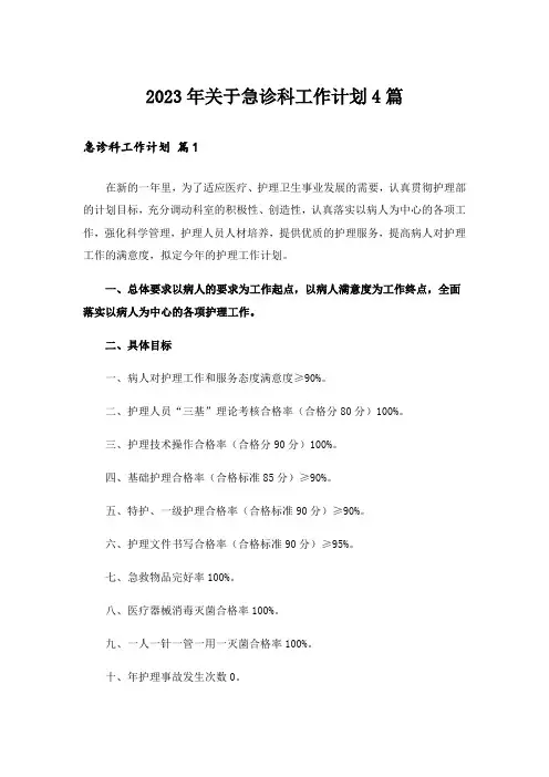 2023年关于急诊科工作计划4篇