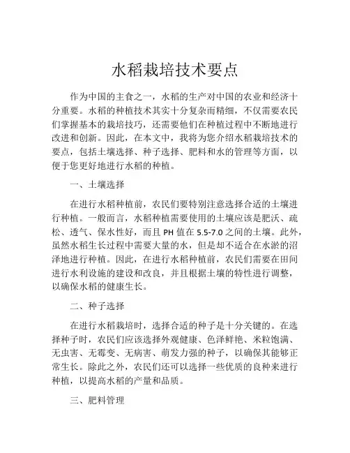水稻栽培技术要点