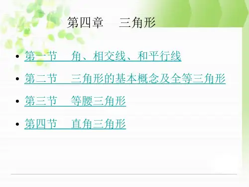 安徽中考数学复习知识系统复习课件：第四章三角形