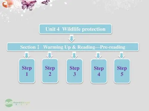 高中英语 Unit 4  Section I Warming Up Reading Pre reading课件 新人教版必修2