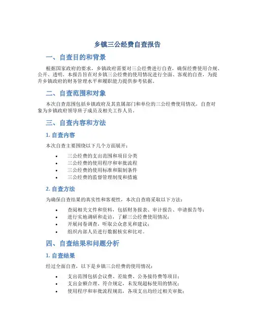 乡镇三公经费自查报告