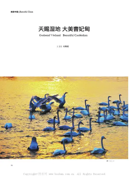 天赐湿地大美曹妃甸