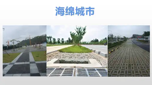 微专题八：海绵城市