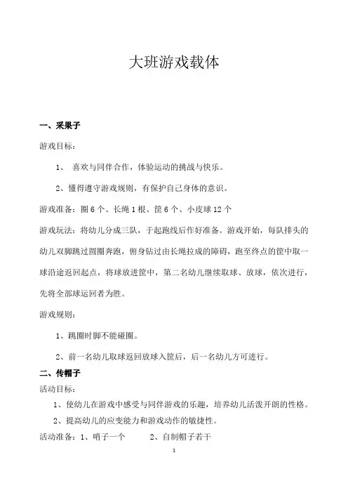 幼儿园大班游戏载体