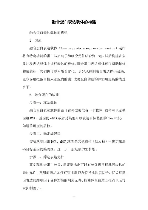 融合蛋白表达载体的构建