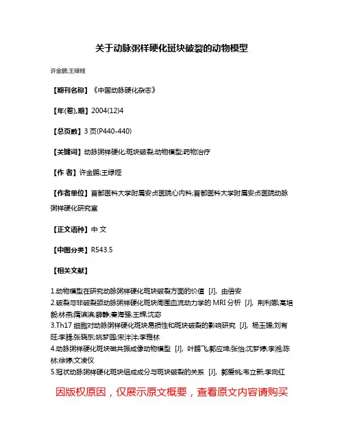 关于动脉粥样硬化斑块破裂的动物模型