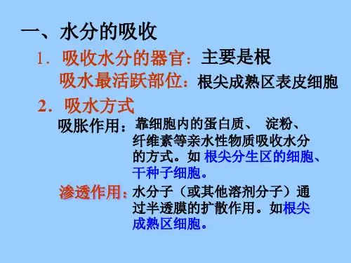 植物对水分的吸收和利用1(PPT)5-2