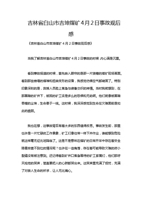 吉林省白山市吉坤煤矿4月2日事故观后感