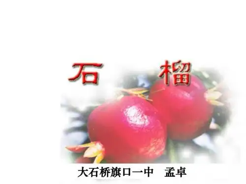 石榴