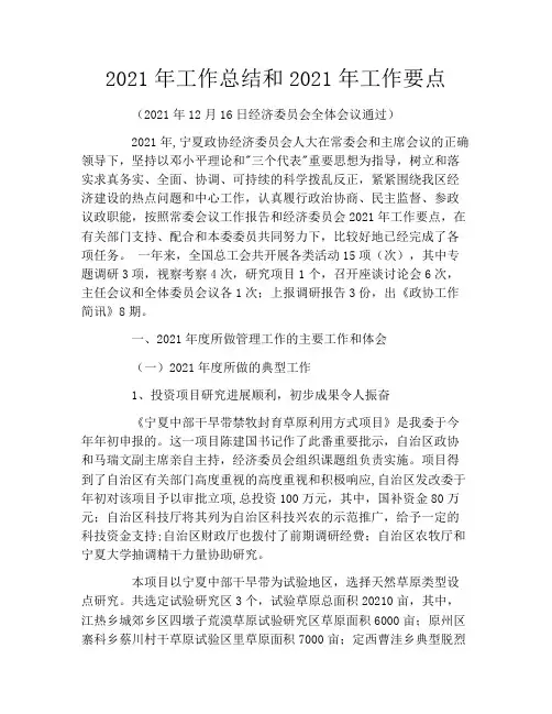 2021年工作总结和2021年工作要点