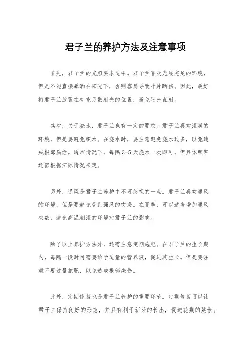 君子兰的养护方法及注意事项