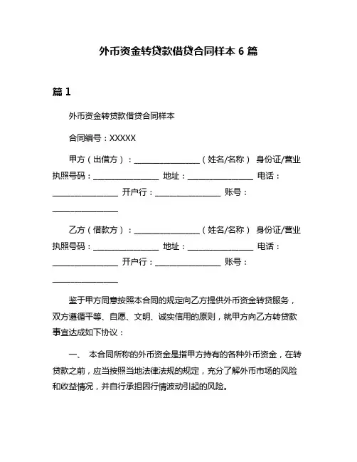 外币资金转贷款借贷合同样本6篇