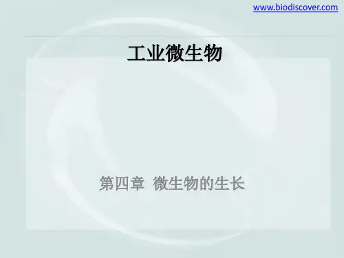 《工业微生物》课件 第四章