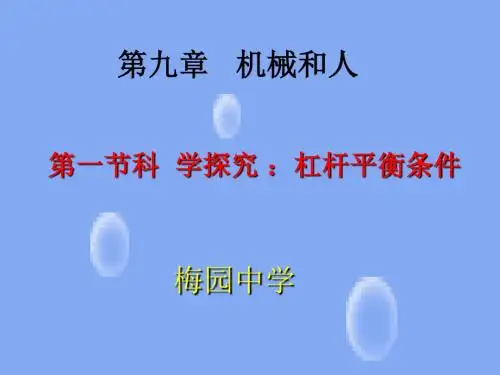 《杠杆》课件