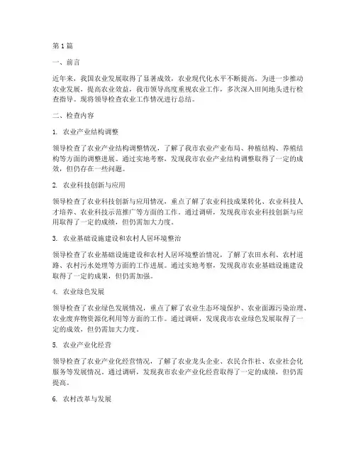领导检查农业工作总结范文(3篇)
