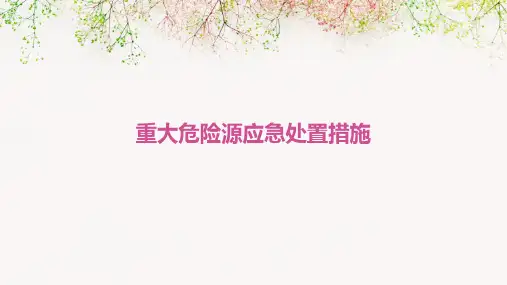 重大危险源应急处置措施