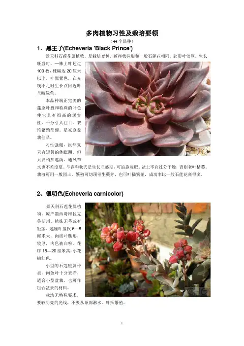 多肉植物习性及栽培要领大全