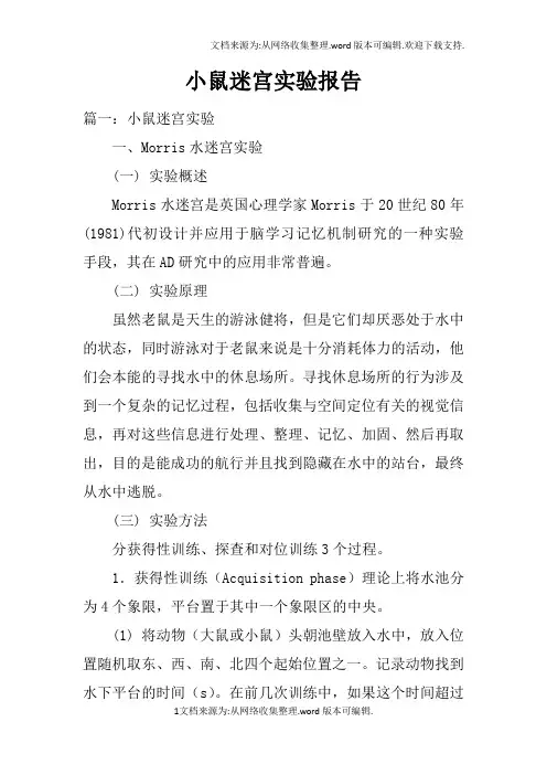 小鼠迷宫实验报告