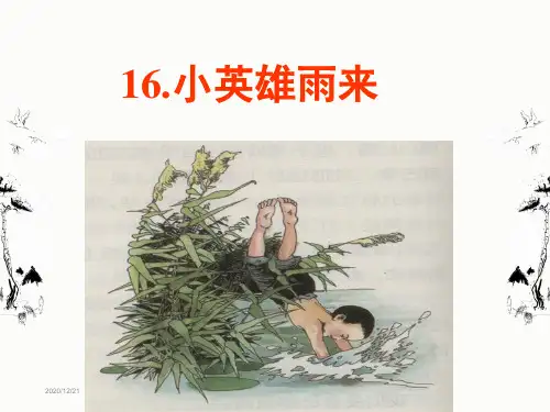 14.《小英雄雨来》(完美版)课件PPT