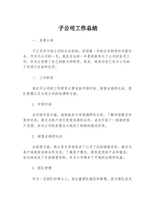 子公司工作总结
