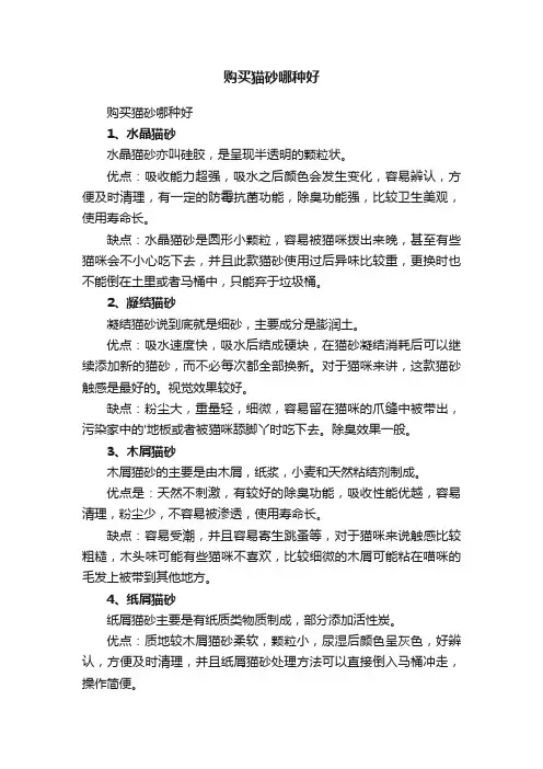 购买猫砂哪种好