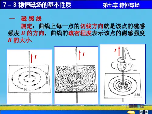 课件：稳恒磁场的基本性质